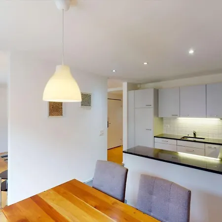 Fantastic 1 Bedroom Flat In The Center - Froehlich Daire Zürih